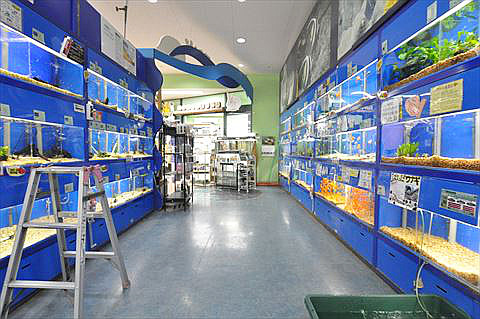 買い物シーンの撮影に 都内ホームセンター ロケ地検索ロケフィット