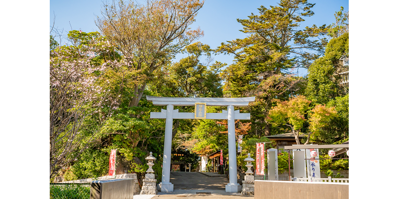 千葉県 / 神社
