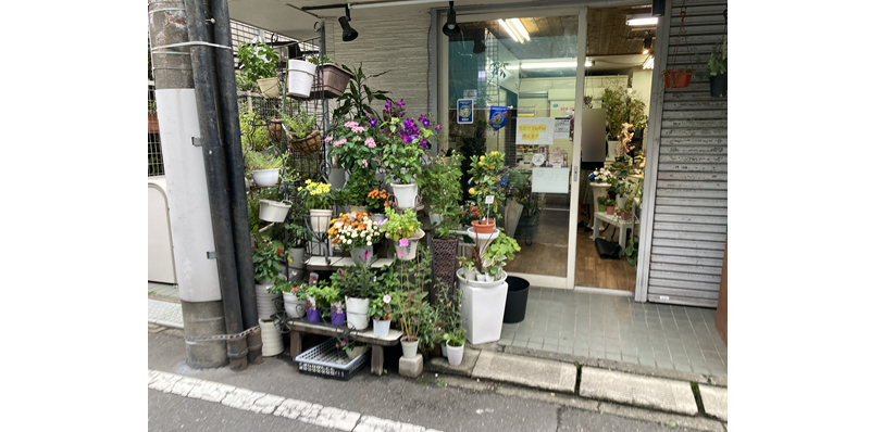 杉並区　/　花屋