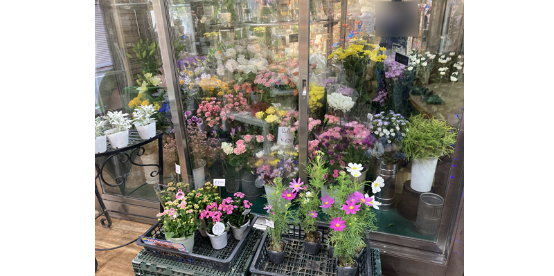 杉並区　/　花屋