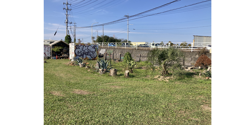 埼玉県 / スケートパーク
