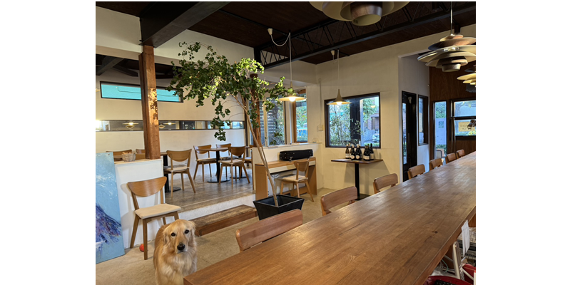 神奈川県平塚市 / カフェ、ワインバー