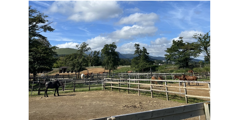 静岡県 / 牧場