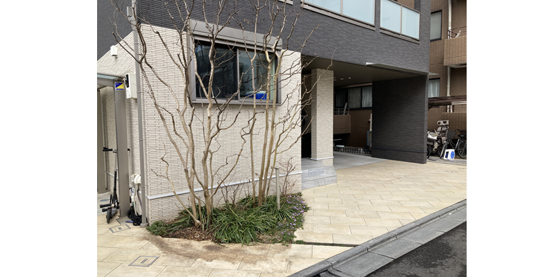 東京都豊島区 / 一軒家